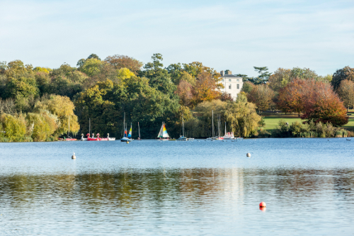 Walk for Parkinson\'s: Kent 2026