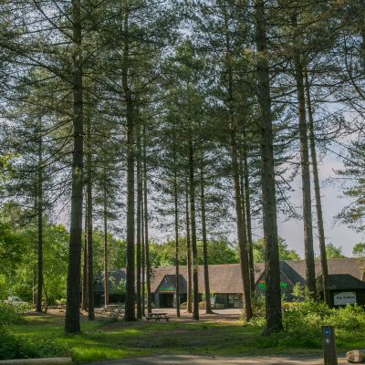 Walk for Parkinson\'s: Dorset 2026