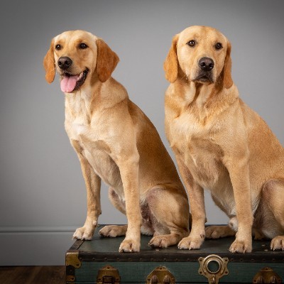 Theo & Mika